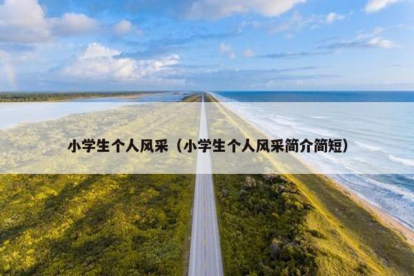 小学生个人风采（小学生个人风采简介简短）