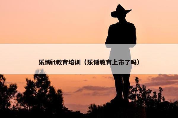 乐博it教育培训（乐博教育上市了吗）