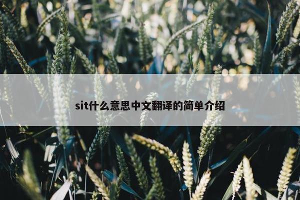sit什么意思中文翻译的简单介绍