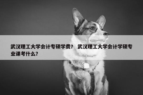 武汉理工大学会计专硕学费？ 武汉理工大学会计学硕专业课考什么？