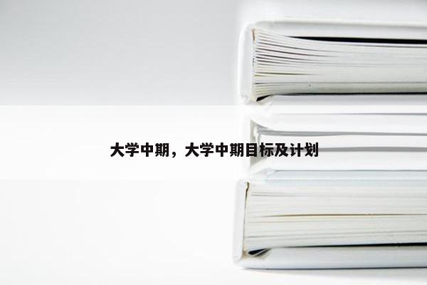 大学中期，大学中期目标及计划