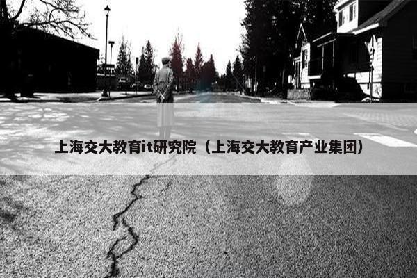 上海交大教育it研究院（上海交大教育产业集团）