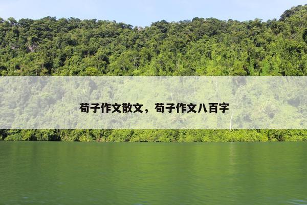 荀子作文散文，荀子作文八百字