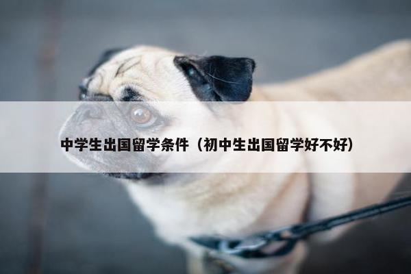 中学生出国留学条件（初中生出国留学好不好）