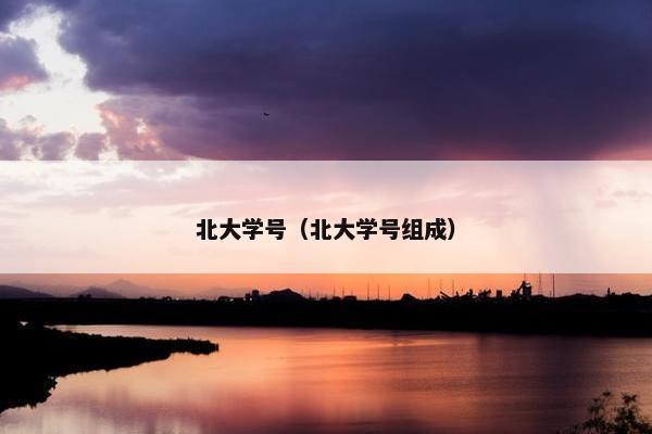 北大学号（北大学号组成）