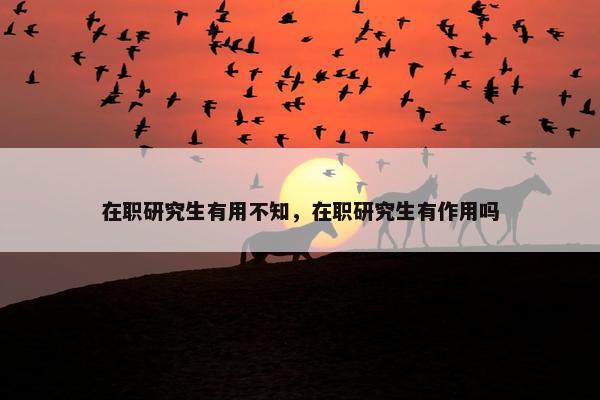 在职研究生有用不知，在职研究生有作用吗