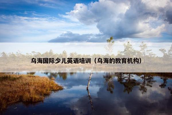 乌海国际少儿英语培训（乌海的教育机构）