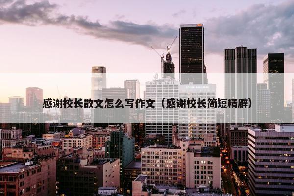 感谢校长散文怎么写作文（感谢校长简短精辟）