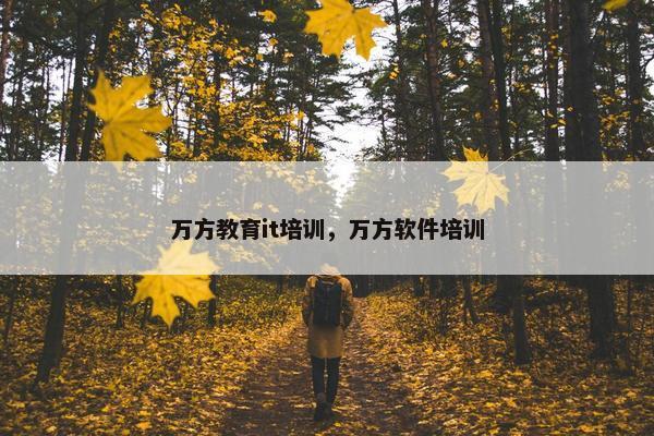 万方教育it培训，万方软件培训