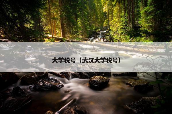 大学税号（武汉大学税号）