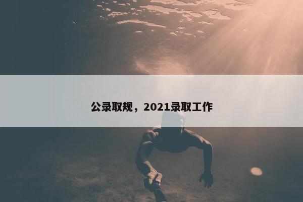 公录取规，2021录取工作