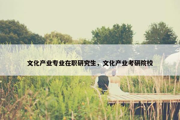 文化产业专业在职研究生，文化产业考研院校