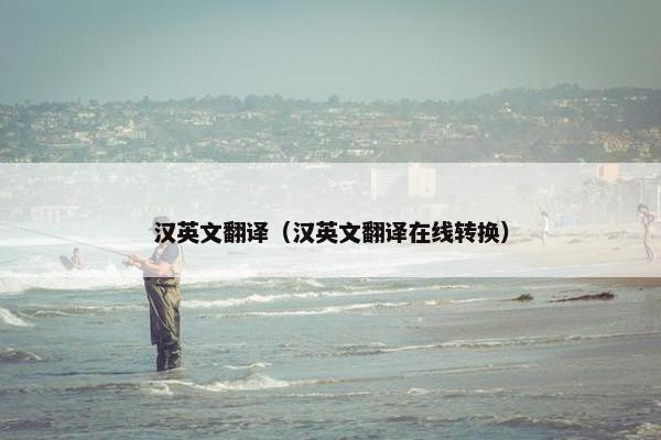 汉英文翻译（汉英文翻译在线转换）