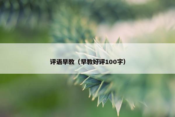 评语早教（早教好评100字）
