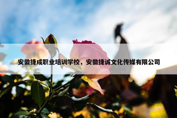 安徽捷成职业培训学校，安徽捷诚文化传媒有限公司