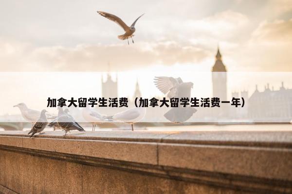 加拿大留学生活费（加拿大留学生活费一年）