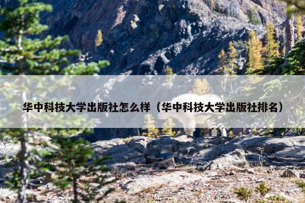 华中科技大学出版社怎么样（华中科技大学出版社排名）