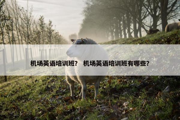 机场英语培训班？ 机场英语培训班有哪些？