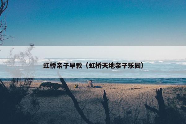 虹桥亲子早教（虹桥天地亲子乐园）