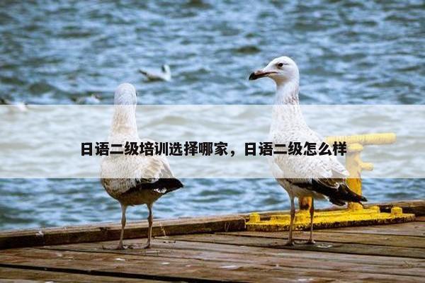 日语二级培训选择哪家，日语二级怎么样