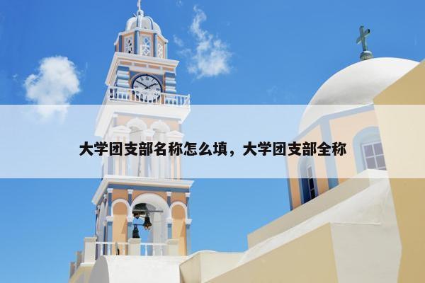 大学团支部名称怎么填，大学团支部全称
