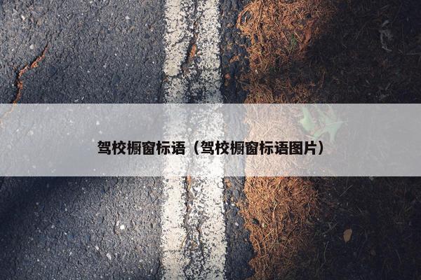 驾校橱窗标语（驾校橱窗标语图片）