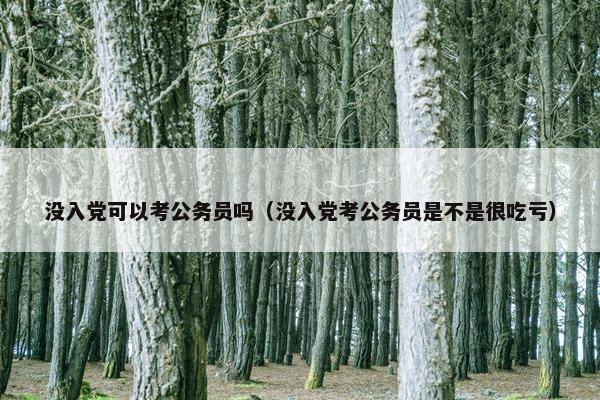 没入党可以考公务员吗（没入党考公务员是不是很吃亏）