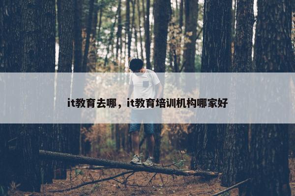 it教育去哪，it教育培训机构哪家好
