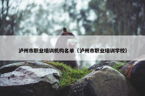 泸州市职业培训机构名单（泸州市职业培训学校）