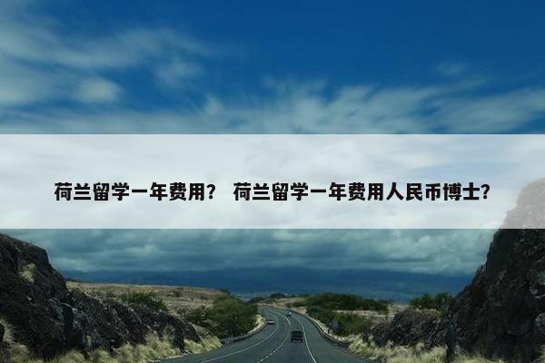 荷兰留学一年费用？ 荷兰留学一年费用人民币博士？