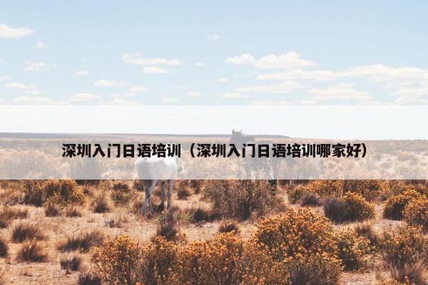 深圳入门日语培训（深圳入门日语培训哪家好）