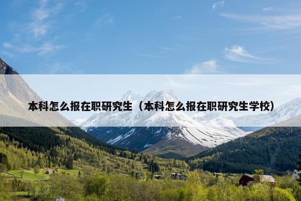本科怎么报在职研究生（本科怎么报在职研究生学校）
