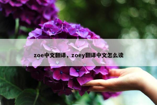 zoe中文翻译，zoey翻译中文怎么读