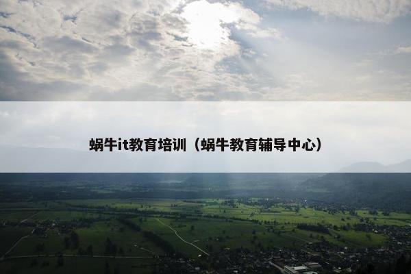 蜗牛it教育培训（蜗牛教育辅导中心）