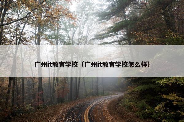 广州it教育学校（广州it教育学校怎么样）