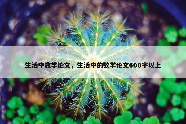 生活中数学论文，生活中的数学论文600字以上