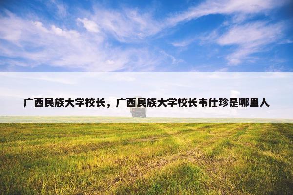 广西民族大学校长，广西民族大学校长韦仕珍是哪里人