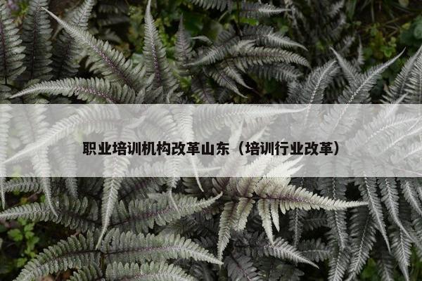 职业培训机构改革山东（培训行业改革）