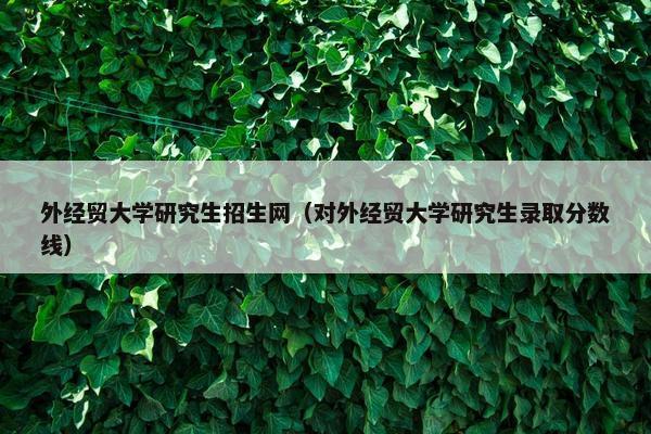 外经贸大学研究生招生网（对外经贸大学研究生录取分数线）