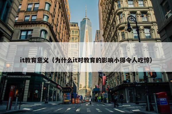 it教育意义（为什么it对教育的影响小得令人吃惊）
