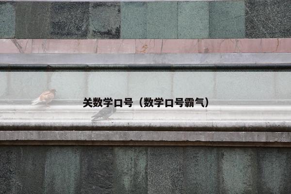 关数学口号（数学口号霸气）