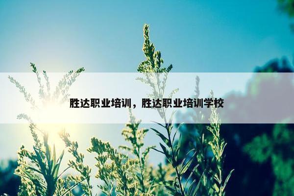 胜达职业培训，胜达职业培训学校