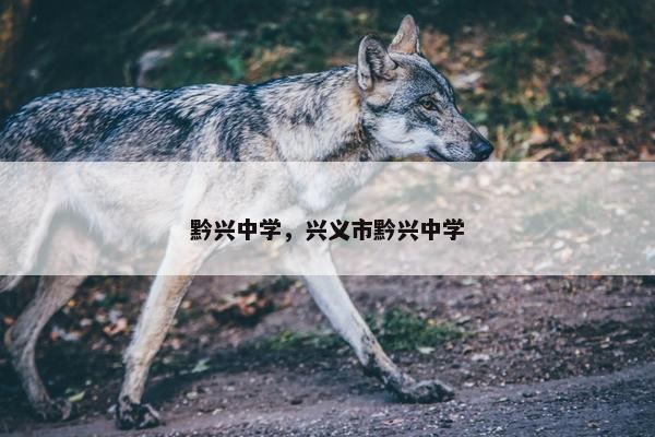 黔兴中学，兴义市黔兴中学