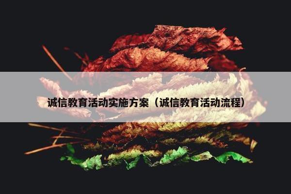 诚信教育活动实施方案（诚信教育活动流程）