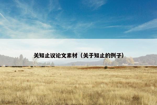 关知止议论文素材（关于知止的例子）