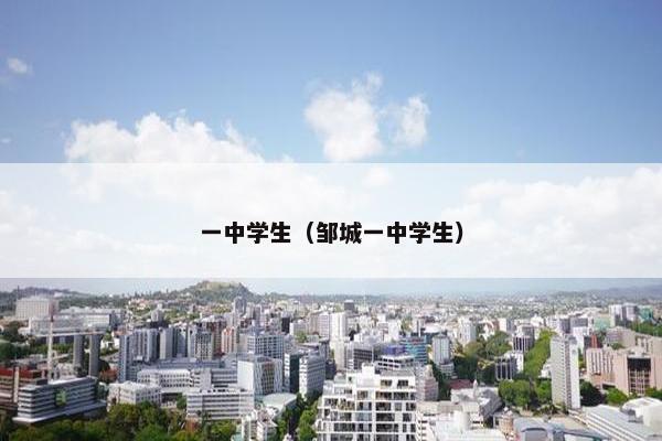 一中学生（邹城一中学生）