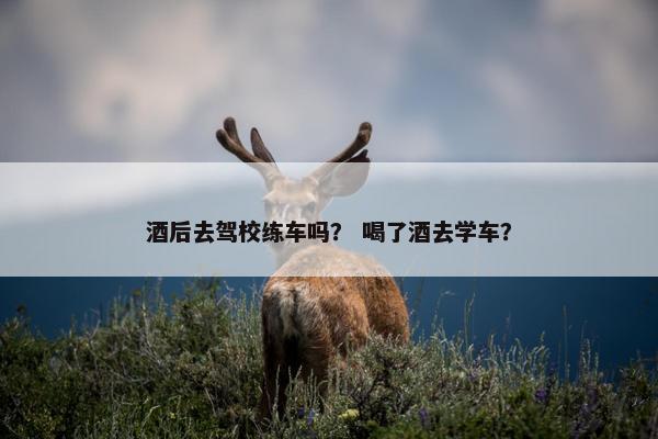 酒后去驾校练车吗？ 喝了酒去学车？