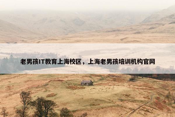 老男孩IT教育上海校区，上海老男孩培训机构官网