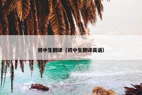 初中生翻译（初中生翻译英语）