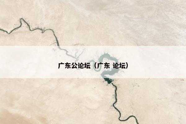 广东公论坛（广东 论坛）